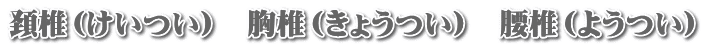 頚椎(けいつい) 胸椎(きょうつい) 腰椎(ようつい)